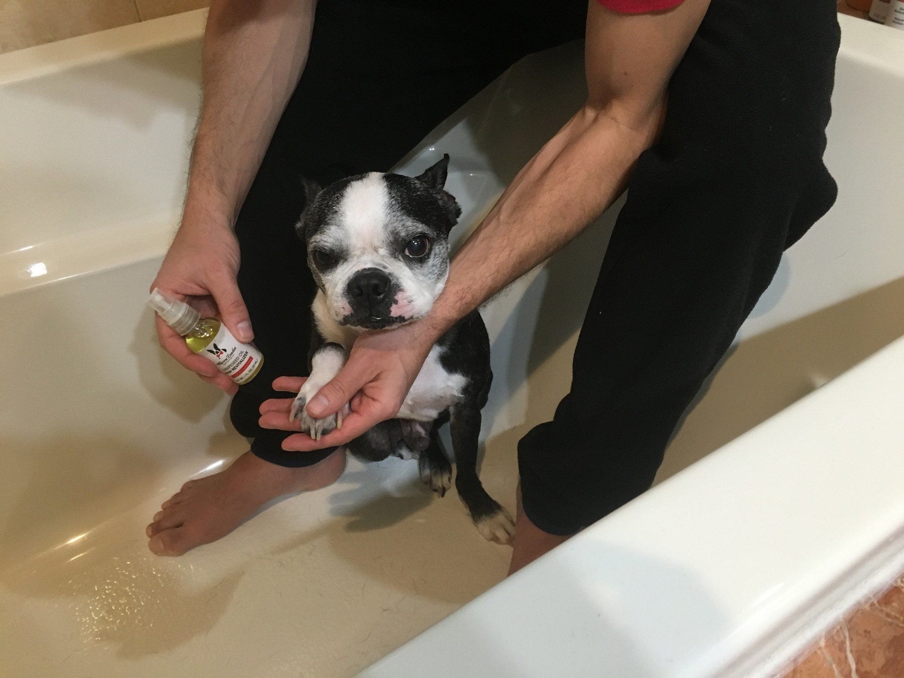 Grapeseed Oil Paw Revitalizer by Warren London For Dry Paw Pads 